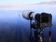 Canon RF400mm f/2.8L IS USM dan RF600mm f/4L IS USM, Lensa Super Telephoto dengan Mount RF Canon