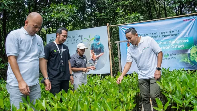 carbon offset telkomsel