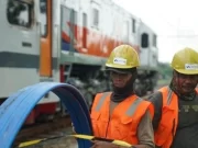 XL Axiata Sewa 3.599 Km Jaringan Fiber Optik Milik Surge