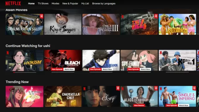 netflix 2022