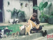 Mitos atau Fakta: Kucing Tidak Suka Minum? kucing minum