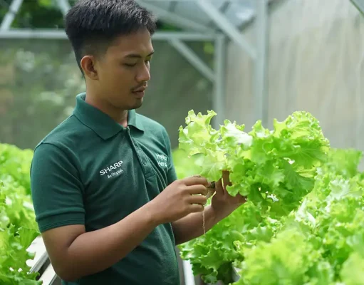 Sharp Hydro Heroes Sukses Ciptakan Petani Muda Berkelanjutan Sharp Hydro Heroes