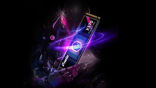 biwin black opal X570 DW100