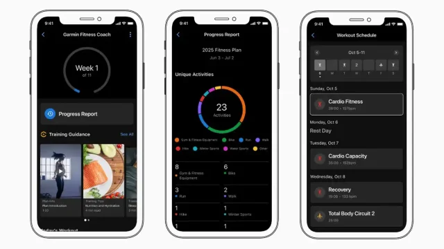 Fitur Tersembunyi Garmin Connect